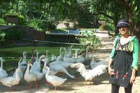 Buddha Jayanti Park In Central Ridge Of