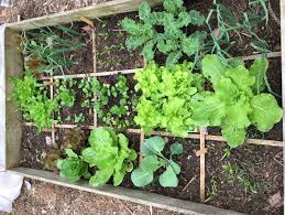 Square Foot Gardening Small Space