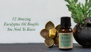 Benefits Of Eucalyptus Oil For Skin