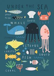 Under The Sea Poster Sea Animals