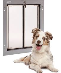 Glass Pet Doors Dog Door Installation