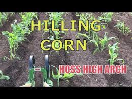 Hilling Corn Hoss High Arch Wheel Hoe