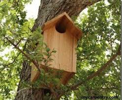 24 Diy Owl House Plans To Attract Birds
