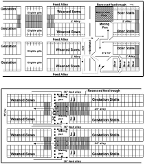 Sow Housing Options For Gestation