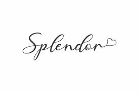 Splendor Typography Logo Graphic By