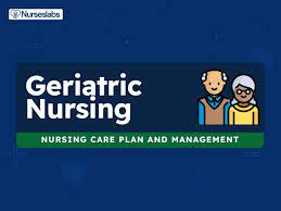 Geriatric Nursing Care Plans 10