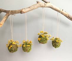 Moss And Tansy Hanging Garden Decor