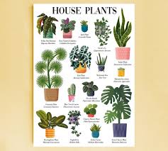 Plant Poster Print Ilrated Plants