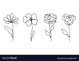 Flower Line Drawings Flower Drawing