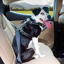 Kurgo Impact Dog Car Harness Crash
