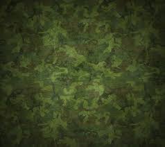 Military Camo Wallpaper To