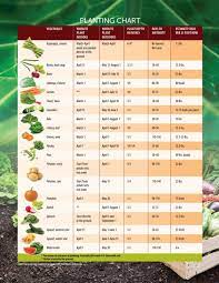 Ohio Garden Planting Guide When To