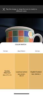 Choose The Perfect Paint Color From