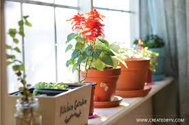Diy Removable Window Shelf For Plants