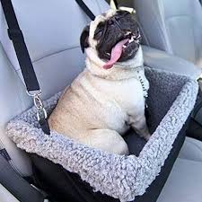 10 Best Dog Car Seats Crates And