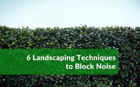 6 Landscaping Techniques To Block Noise