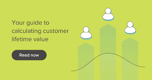 What Is Customer Lifetime Value Clv