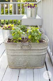 Vintage Galvanized Wash Tub Herb Garden