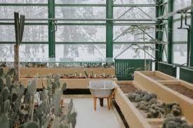 Prepare The Greenhouse For Winter