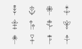 Botanical Icon Vector Art Icons And