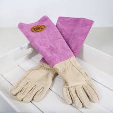 Personalised Gardening Gloves Garden