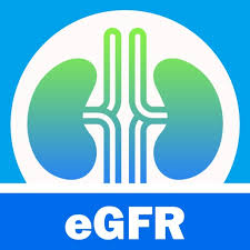 Gfr Calculator Egfr Calc By Dang Phan