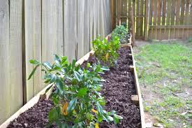 Diy Raised Garden Beds