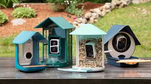 9 Best Smart Bird Feeders Tested By