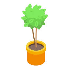 Tree Pot Plant Icon Isometric Of Tree