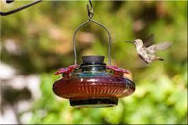 How To Keep Birds Off Porch Everything