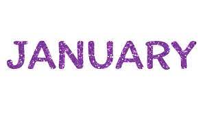 Purple Glitter January Letters Icon