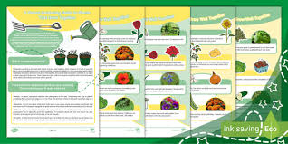 A Pa Gardening Guide To Plants That