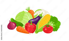 Organic Food Vegetable Garden S