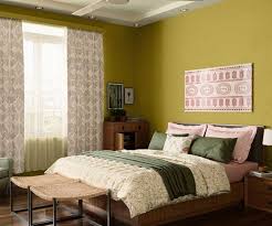Salmon Green 7837 House Wall Painting