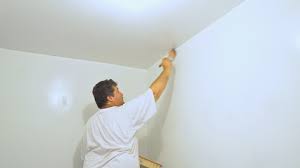 Painting The Ceiling And Walls Painter