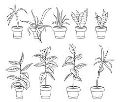 House Plant Outline Vector Art Icons