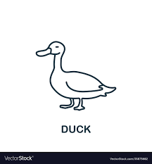 Duck Icon From Home Animals Collection