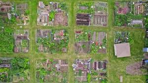Urban Farm Aerial View Growing And