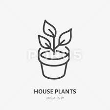 House Plant In Pot Flat Line Icon