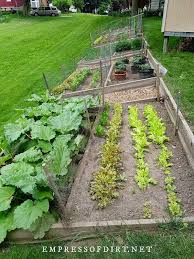 Vegetable Garden Design Layout Ideas