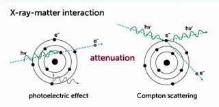 interaction with matter trivia quiz