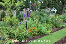 Garden From Scratch Yearly Photos