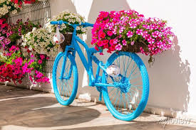 Street Or Garden Decoaration Design