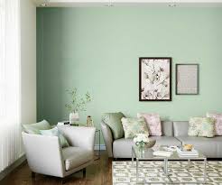 Soothing Green Wall Paint Colour For