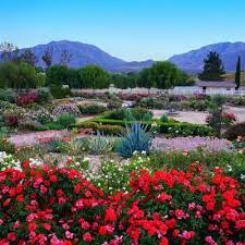 Experience Spring In Temecula Valley