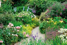 The 12 Best Flowering Shrubs To Plant