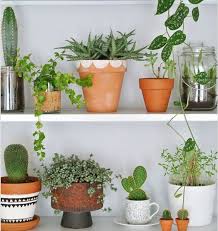 Havenly Interior Design Blog