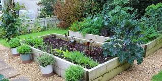 Grow An Organic Garden Lovely Greens