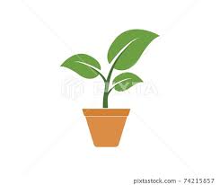 Plant In Pot Icon Logo Vector