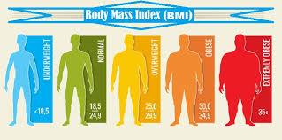 What Is Mass Index Bmi And How